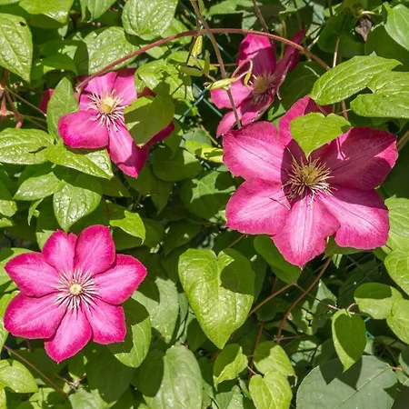 Holiday home Familial Pres De Guerande Avec Jardin, Terrasse, Jeux Pour Enfants, Et Coin Detente - Fr-1-306-1095 *